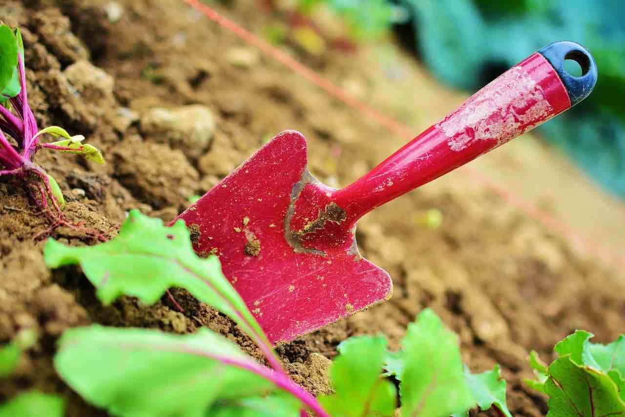 herramientas para el jardin-Viveros Solis